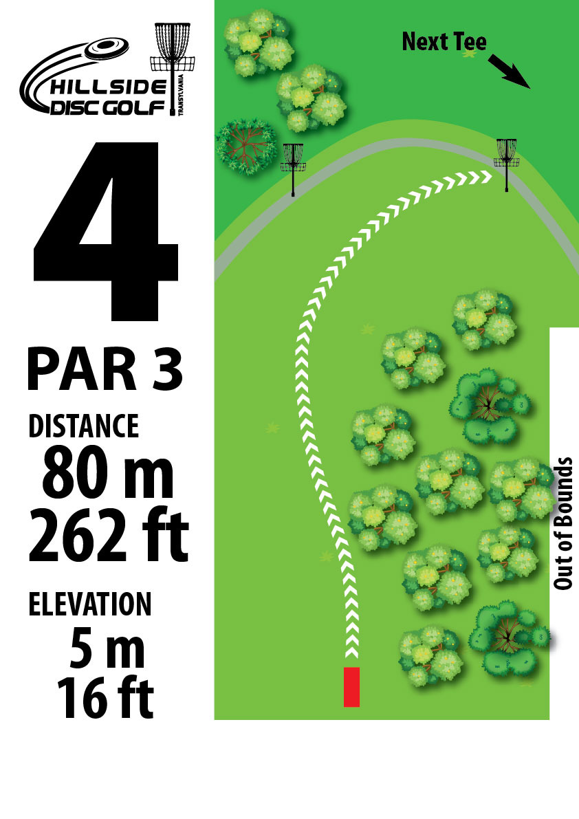 Hole 4