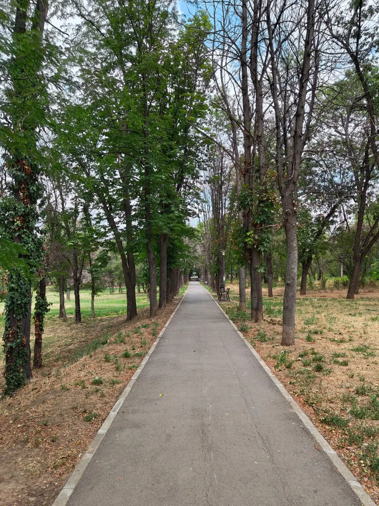 AUTUMN FADE (WEEK 1)