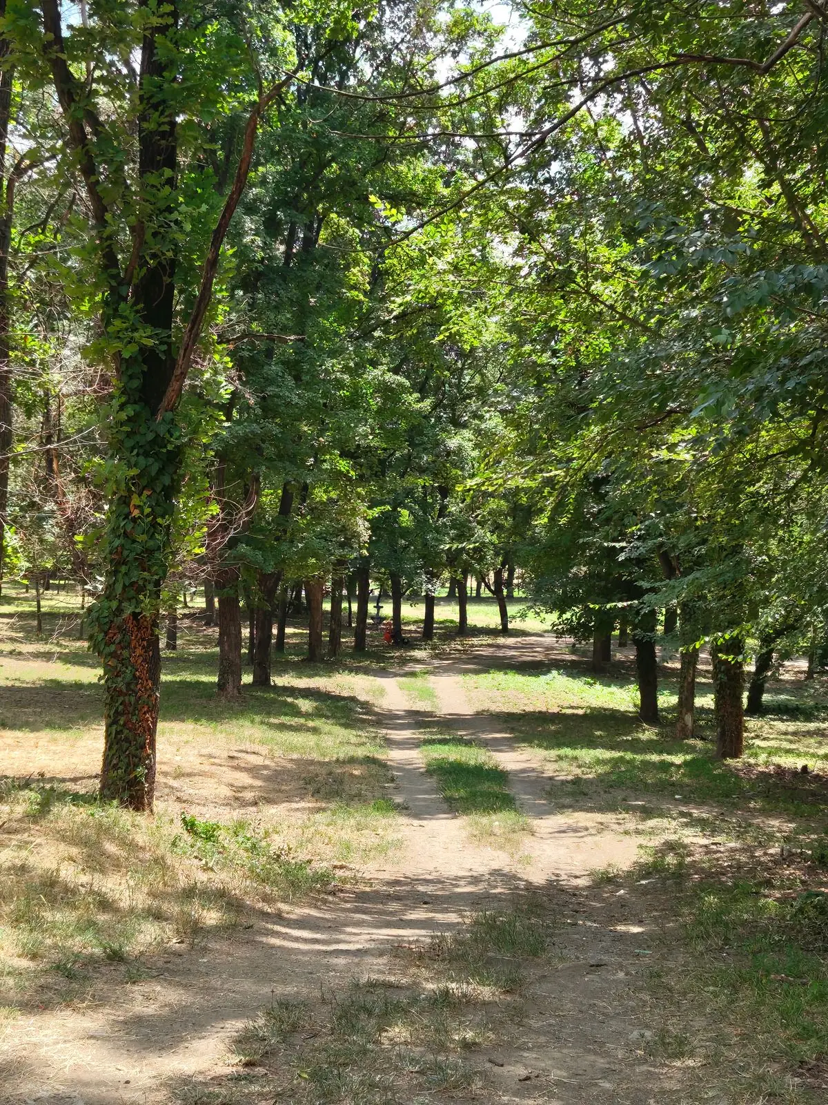 Verdi Park: linii înguste printre copaci, în mijlocul orașului